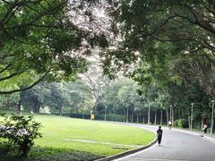-东莞植物园