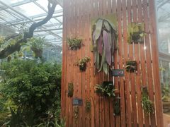 -国家植物园南园