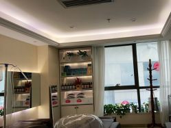 -碧莲盛·不剃发植发