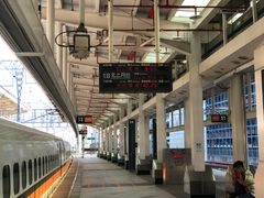 -文府路口(Taiwan High Speed Rail Zuoying Station)