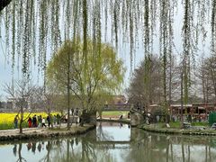 -广富林郊野公园