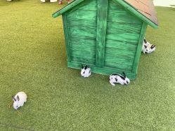 -萌宠亲子动物乐园(槐房万达店)