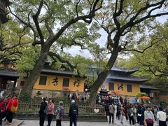 -普陀山风景名胜区-法雨禅寺