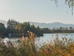 -翠湖国家城市湿地公园
