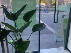 -自然之声助听器·呼吸机(康桥旗舰店)