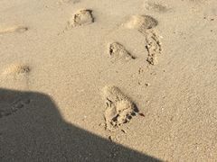 -海角城白海豚浪漫海滩