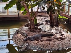 -石家庄市动物园