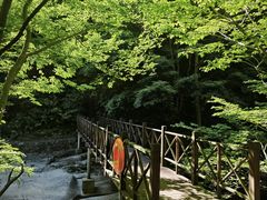 -太湖源风景区