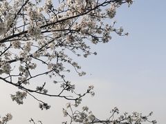 -南京城墙景区
