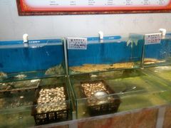 -1952黑石礁酒楼·海鲜(黑石礁店)