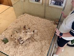 -宁波九龙湖开元度假村