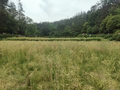 -韶山毛泽东同志故居
