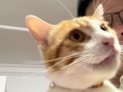 -八公叔叔宠物美容连锁(春申店)