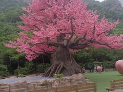 -河南宝泉旅游区