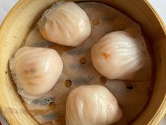 -咖啡苑 - 蔚藍夏日限定主题(永利皇宫店)