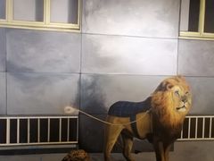 -重庆梵高星空艺术馆(解放碑旗舰店)