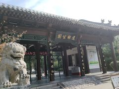 -莲湖公园