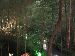 -天目湖御水温泉·度假酒店