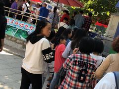 -富斯特索道