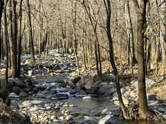 -玉渡山自然风景区