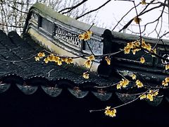 -汇龙潭