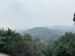 -老君山