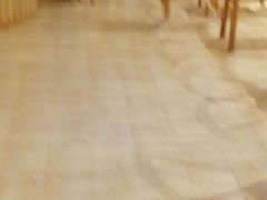 -逗柴咖啡屋·狗咖猫咖宠物桌游
