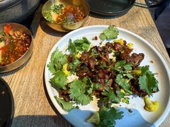 -毛辣果·酸