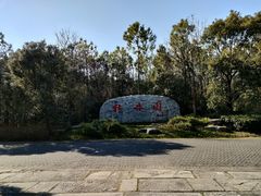 -上海海湾国家森林公园