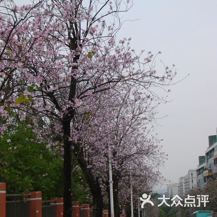 华南农业大学泰山区运动场