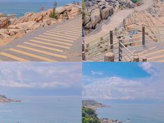 -广东惠东海龟国家级自然保护区