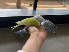 -昆明大悦城未来动物城(螺蛳湾中心店)