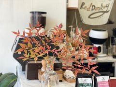 -red donkey coffee