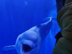 -多彩贵州城极地海洋世界