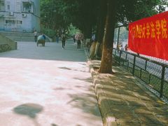-广东财经大学(广州校区)