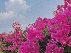 -广州市白云区图书馆