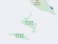 -金塔沙漠胡杨林景区