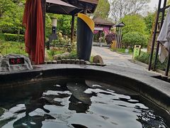 -扬州瘦西湖温泉