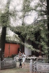 -茜茜公主婚纱摄影会馆