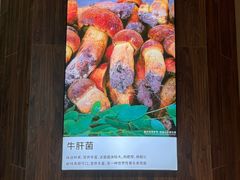 -云采云南菜(中山北路店)