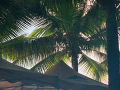 -紫颐香薰山谷景区