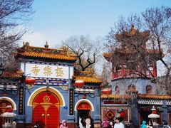 -哈尔滨极乐寺