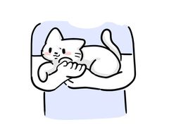 -翊宠yipet猫狗购宠庄园犬舍•猫舍