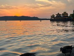 -西湖外事游船(湖滨二公园外事游船码头)