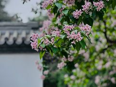 -国家植物园