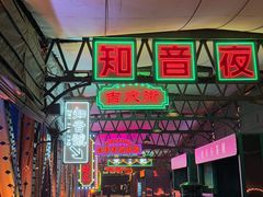 -武汉知音号