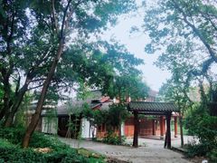 -西湖风景区十里琅珰-五云山