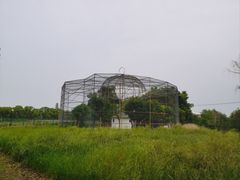-苏州太湖西山岛开心农场