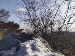 -香山公园
