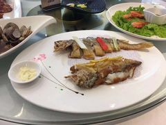 -骏莱海鲜鱼港(五角场店)